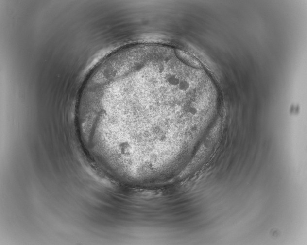 X0000093100155200710241228