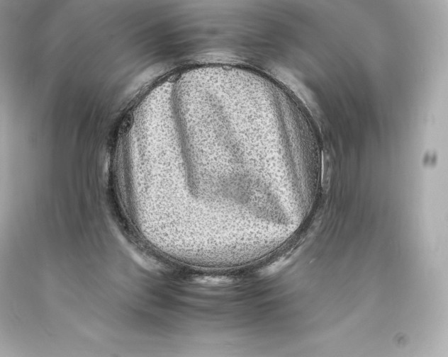 X0000093100157200710241228