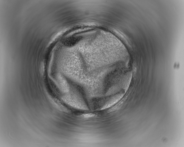 X0000093100158200710241228