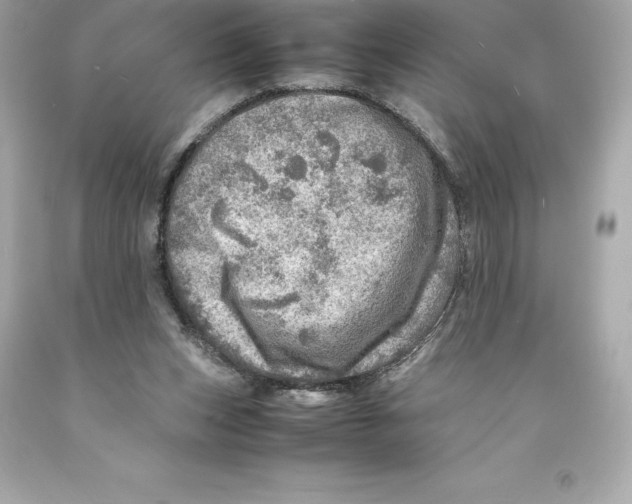 X0000093100159200710241228