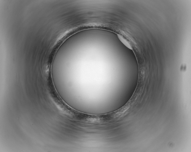 X0000093100160200710241228