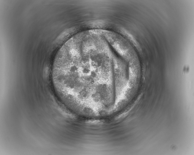 X0000093100161200710241228