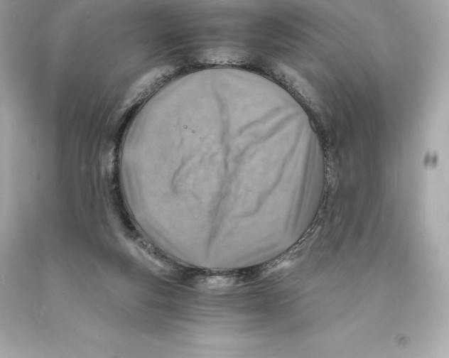 X0000093100163200710241228