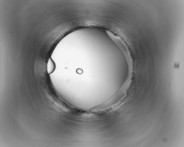 X0000093100164200710241228