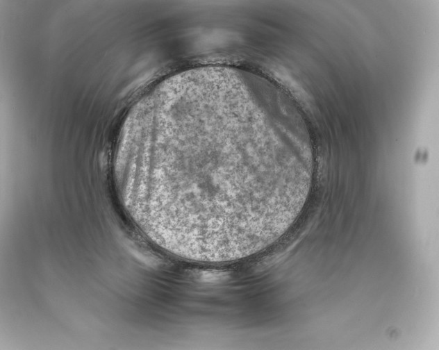 X0000093100165200710241228