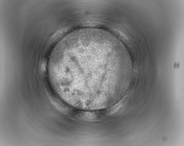 X0000093100166200710241228