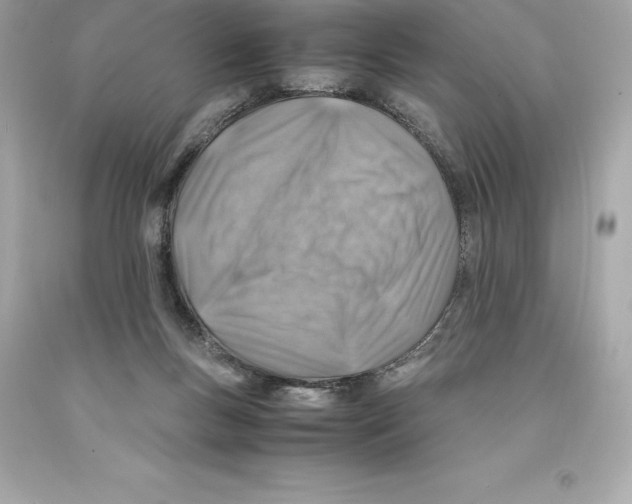 X0000093100167200710241228