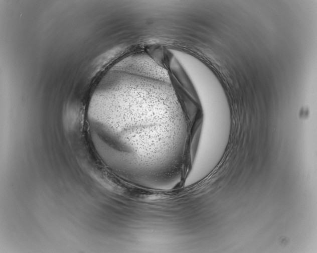 X0000093100168200710241228