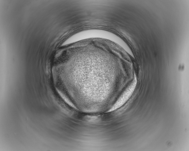 X0000093100170200710241228