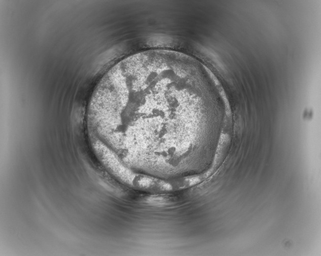 X0000093100171200710241228