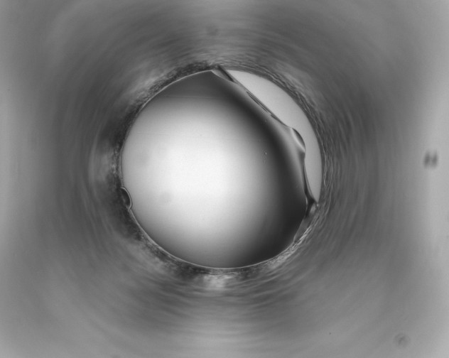 X0000093100172200710241228