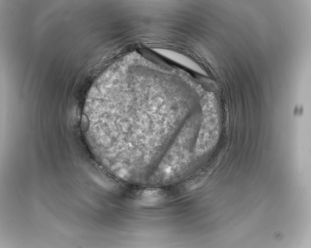 X0000093100173200710241228