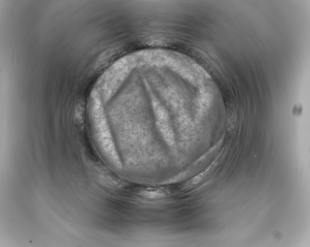 X0000093100175200710241228