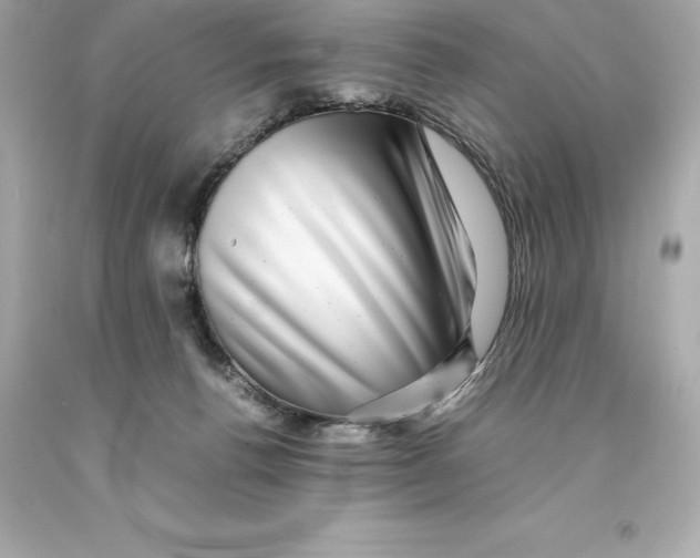 X0000093100176200710241228