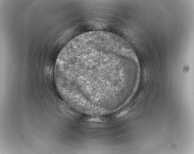 X0000093100177200710241228