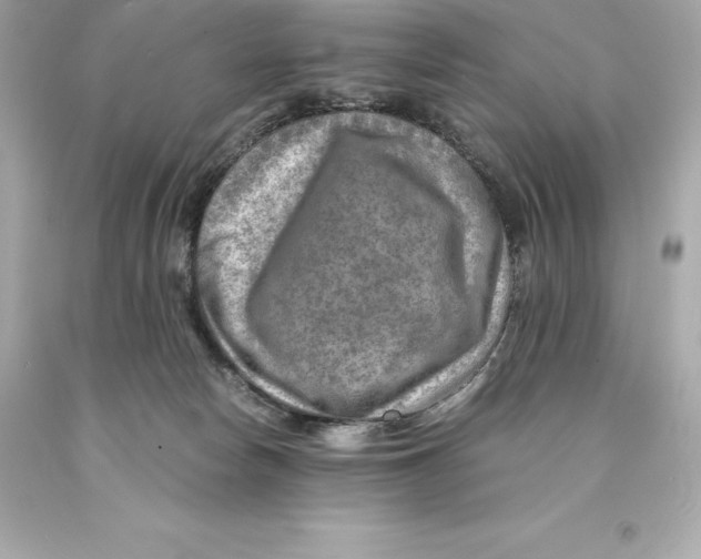 X0000093100178200710241228