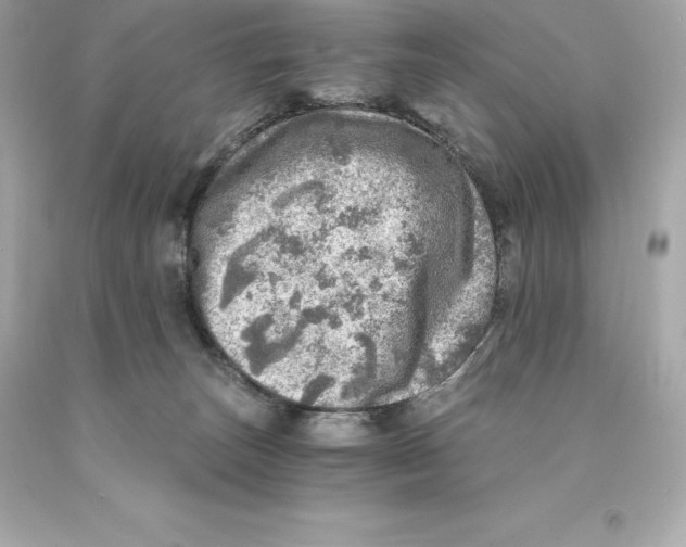 X0000093100179200710241228