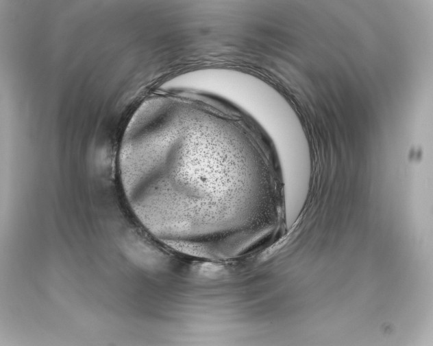 X0000093100180200710241228