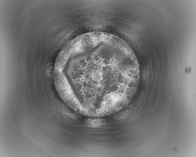 X0000093100181200710241228