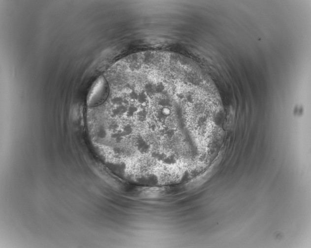 X0000093100182200710241228