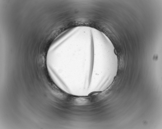 X0000093100183200710241228