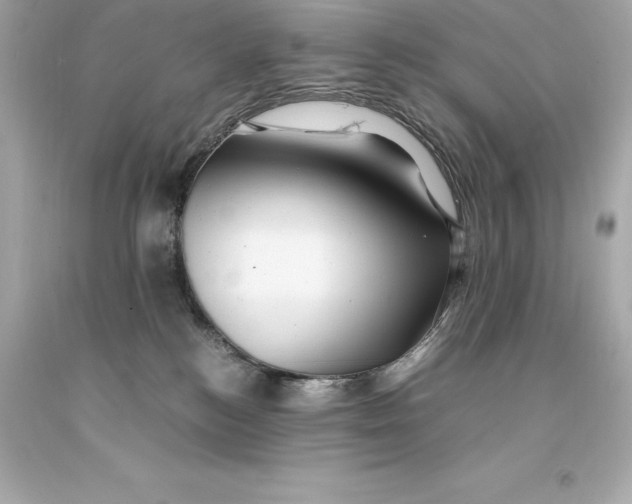 X0000093100184200710241228