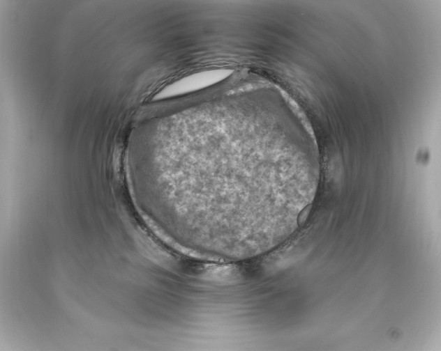 X0000093100185200710241228