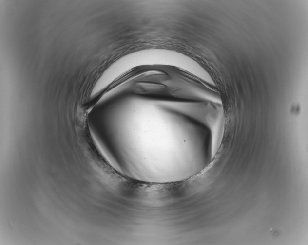 X0000093100186200710241228