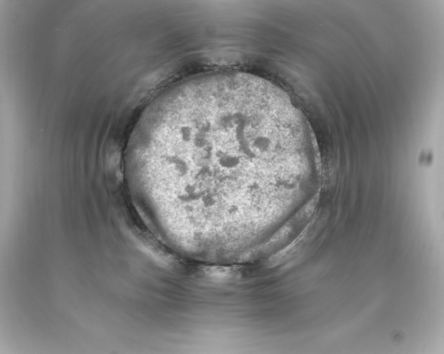 X0000093100187200710241228