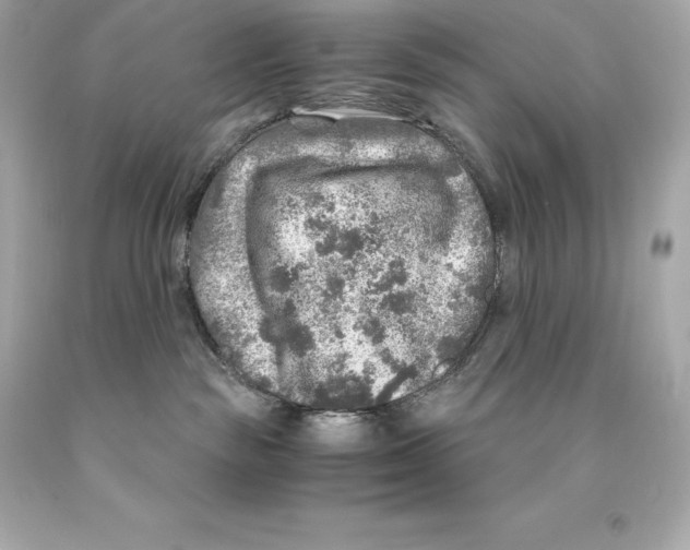 X0000093100189200710241228