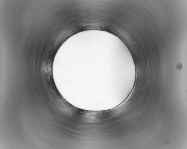 X0000093100190200710241228