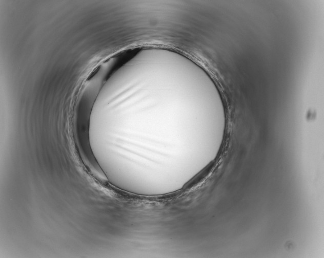 X0000093100193200710241228