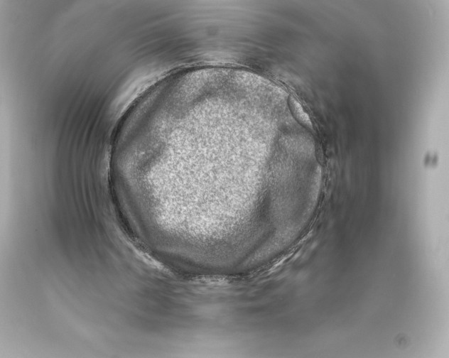 X0000093100194200710241228