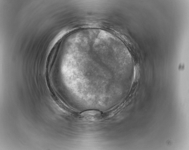 X0000093100195200710241228