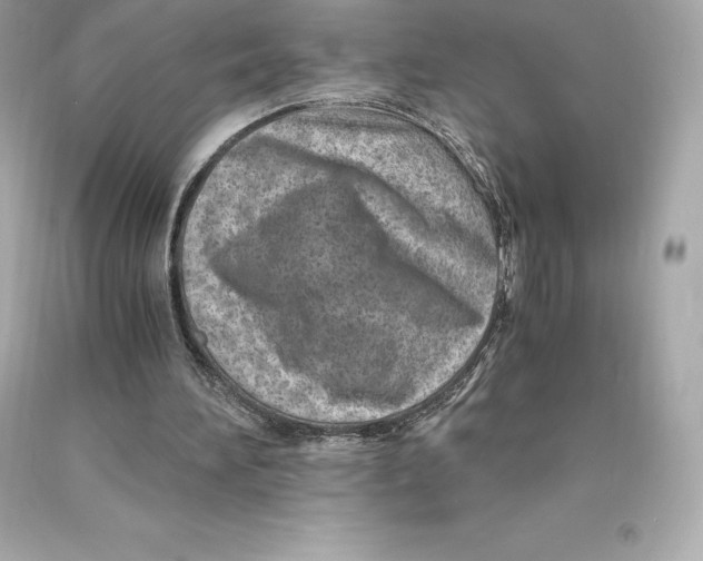 X0000093100196200710241228