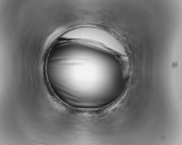 X0000093100197200710241228