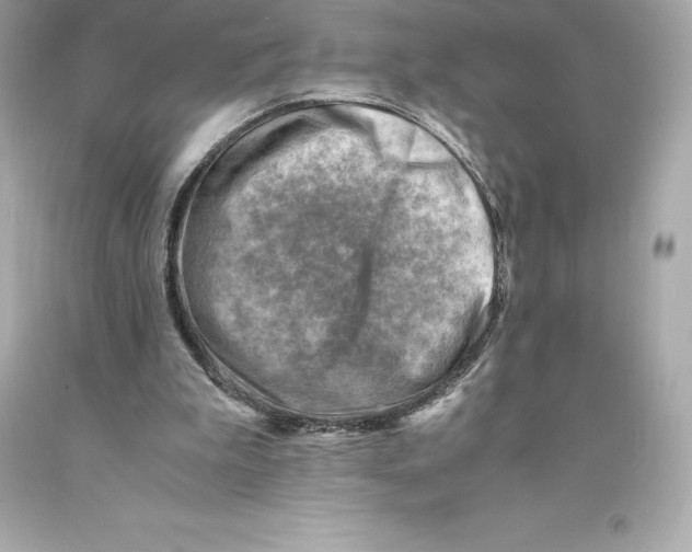 X0000093100199200710241227