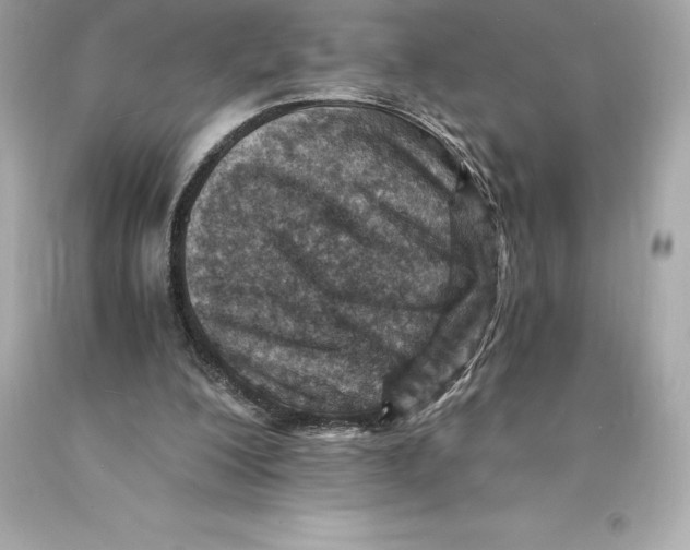 X0000093100200200710241227