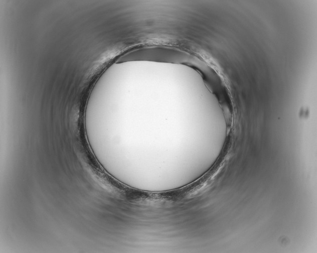 X0000093100201200710241227