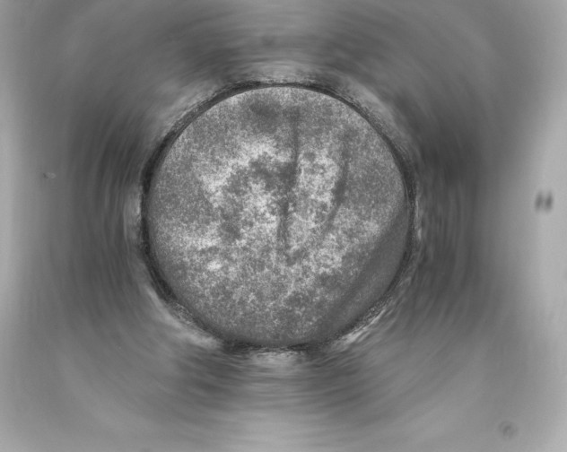 X0000093100202200710241227