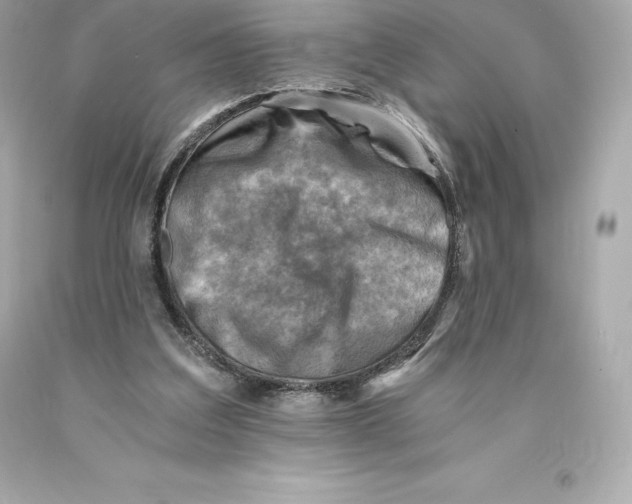 X0000093100203200710241227