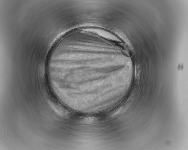 X0000093100204200710241227