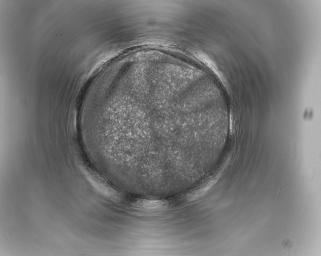 X0000093100205200710241227