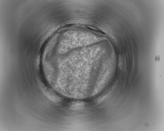 X0000093100206200710241227