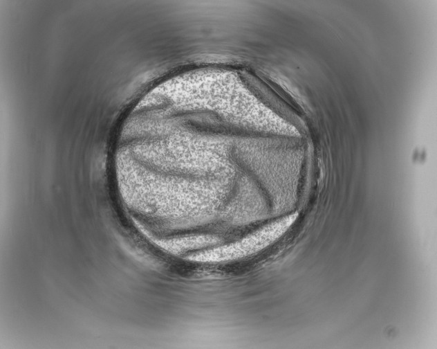 X0000093100207200710241227