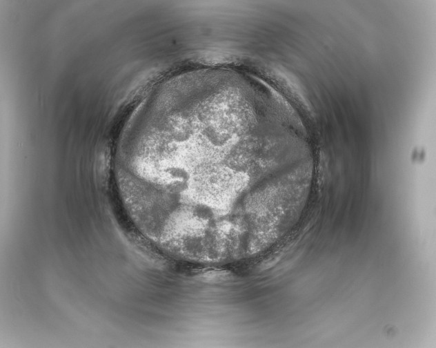 X0000093100210200710241227