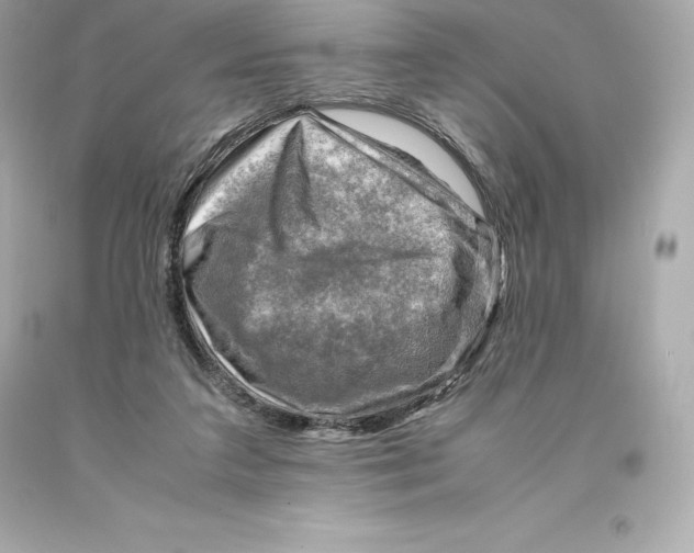 X0000093100211200710241227