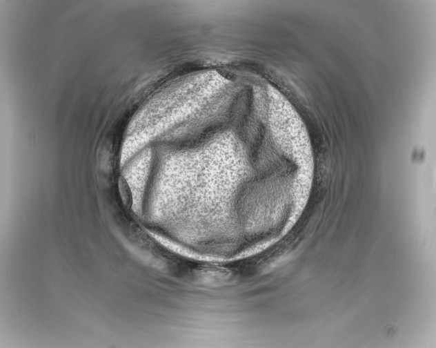 X0000093100215200710241227