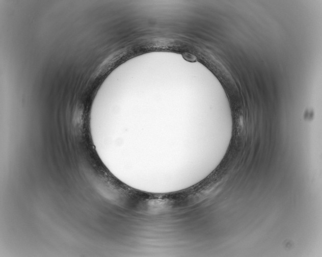 X0000093100216200710241227