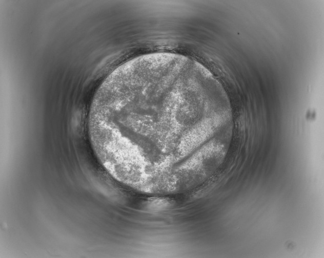 X0000093100218200710241227